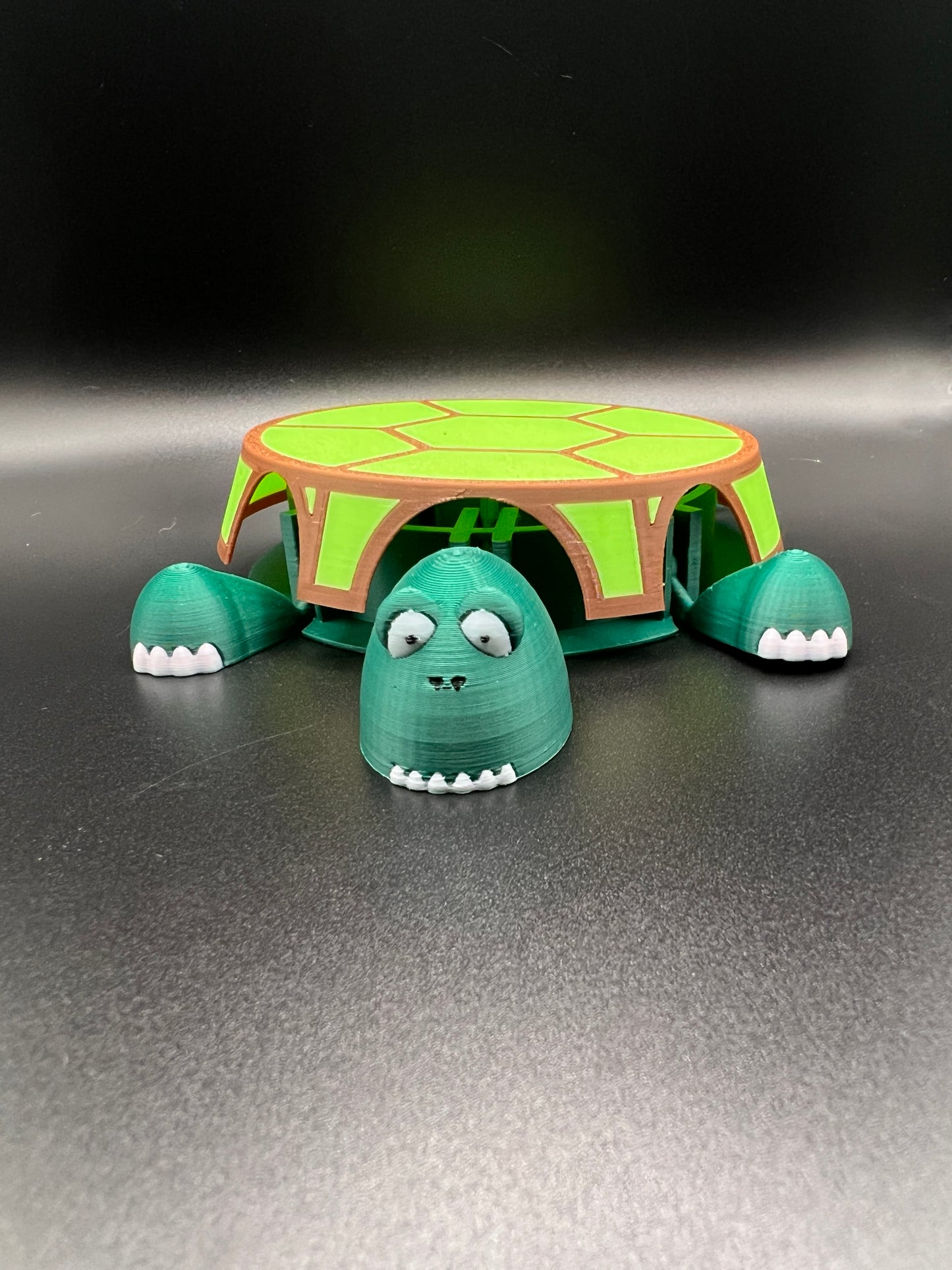 ShellShift Reactive Turtle Coaster
